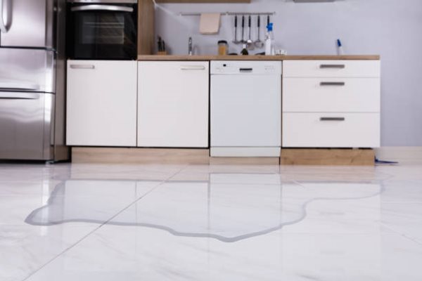 white closed KitchenAid dishwasher leaking
